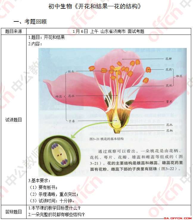 初中生物面试真题
